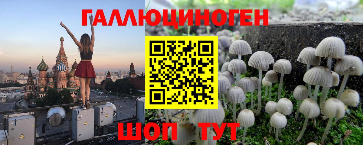 ГАШ Лысьва